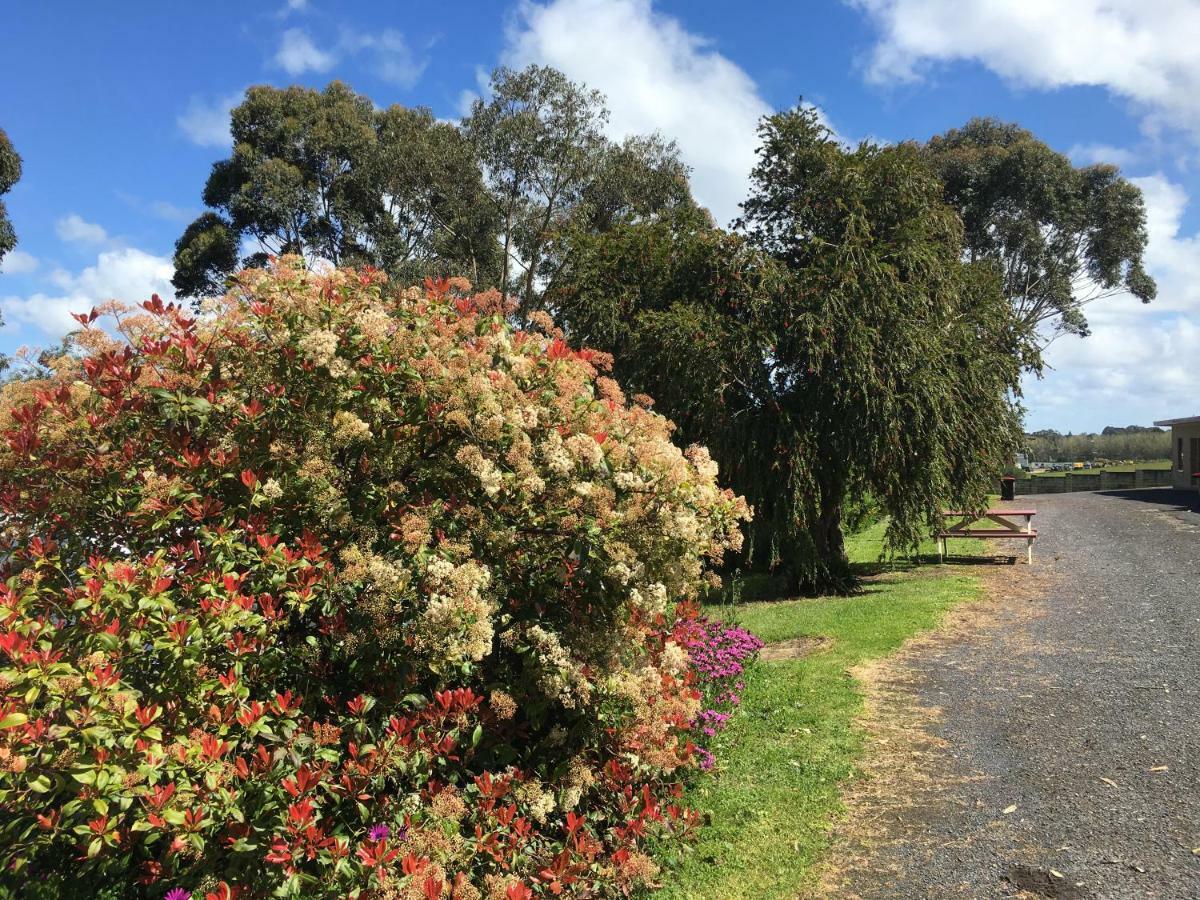 Limestone Coast Tourist Park Mount Gambier Eksteriør bilde